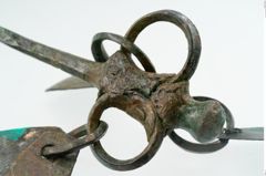 Foto von Bronzeachsnagel (NHMW-PRAE-025272)